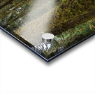 gDAV 8240 Acrylic print