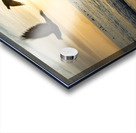 Birds and paddle boarders at the Copacabana Beach in Rio de Janeiro in Brazil at sunrise  Acrylic print