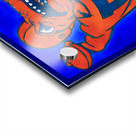 vintage florida gator quarterback art Acrylic print