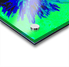 Abstract Vibrant Green and Blue Daisy Flower Acrylic print