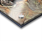 mr express x Acrylic print