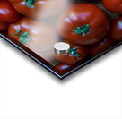 Fresh Tomatoes Acrylic print