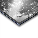 Everyday Lifes Moments- Black and White Contrast  Acrylic print