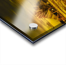 Colonial Williamsburg Armory Acrylic print