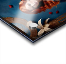 1730460153208 Acrylic print