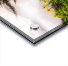 Smoky Mountains Summer Wildflowers Acrylic print