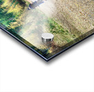 Scenes from the Trail- Decisions Acrylic print