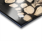 My Cat Walked on my Art Acrylic print