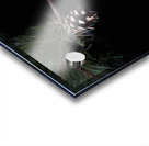 Scenes from the Trail- Pine Cone Acrylic print