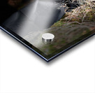 Scenes from the Trail-Standing Acrylic print