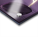 Northwestern Field Goal Acrylic print