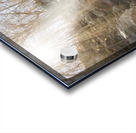 Dark Hollows Falls 2024 Acrylic print