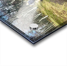 Scenes from the Trail - Impressionistic Dog Walk  Acrylic print