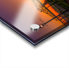 New Orleans Algiers Point Levee Acrylic print