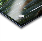 Bamboo Abstract Acrylic print