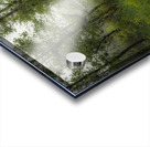 Swampy Yorktown Acrylic print