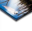 Stick in the Mud 7940 Acrylic print