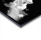 Cotoneaster Tree with Berries in Black and White  Acrylic print