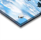 Newport July Acrylic print