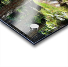 Scenes from the Trail- On the Edge Acrylic print