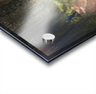 Scenes from the Trail  Unexpected Meetings  Acrylic print