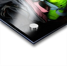 Scenes from the Trail -  Gear  Acrylic print