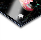 Scenes from the Trail   Fly Agaric Too Acrylic print