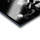 Scenes from the Trail  -Autumnal Leaves in Black and White  Acrylic print