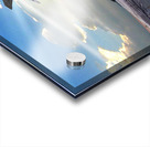 Area51AH Acrylic print