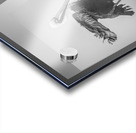 Three Pelicans Triptych in Black and White Acrylic print