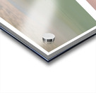 Pensacola Beach  Pelican Pilings Triptych Acrylic print