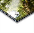 Spring Calls for the Scottish Highlands Acrylic print