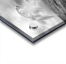 Ode Marítima Acrylic print