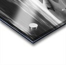 Love All Acrylic print