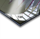 Insight Acrylic print