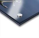 Fishman Acrylic print