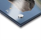 Amat Victoria Curam Acrylic print