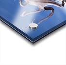 Alis Volat Propriis Acrylic print