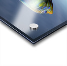 Museum Acrylic print