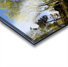  Scottish Highlands Woodland Image  Acrylic print