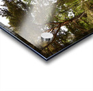 Impressionistic Scottish Highlands Forest   Acrylic print