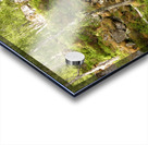 Birch Heather Blay Berries and Moss in the Scottish Highlands Acrylic print