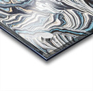 Blue Zebra Acrylic print