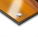 Tender Moment Golden Light Acrylic print