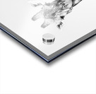 Tall & Timeless Acrylic print