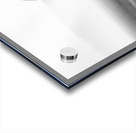 Majesty in Monochrome Acrylic print