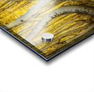 Curves of Nature Acrylic print