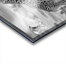 Plains and Patterns Acrylic print