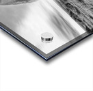 The Wise Wanderer Acrylic print