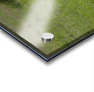 The Wild Chase Acrylic print